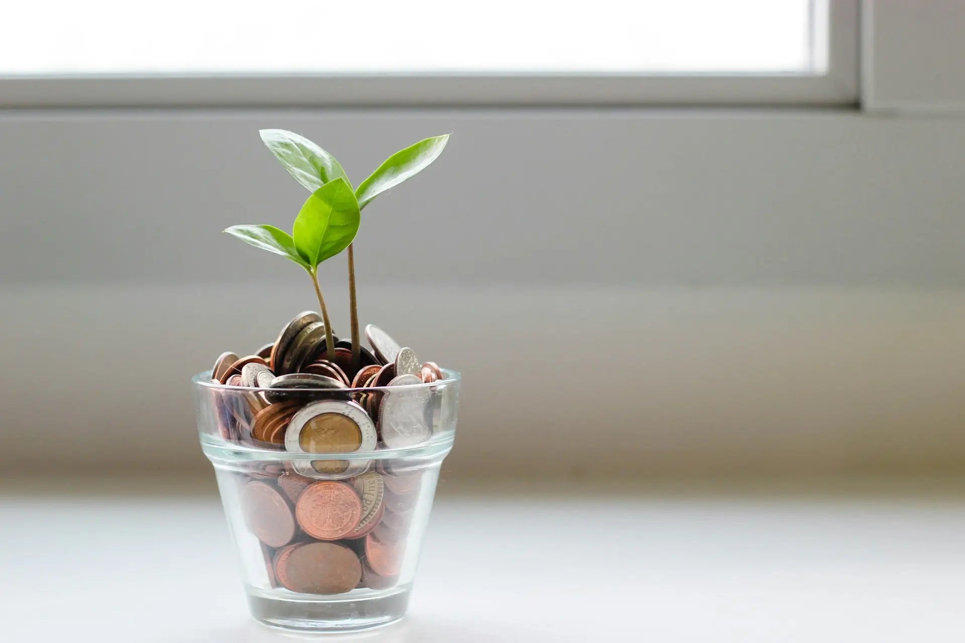 Groene groei gesymboliseerd door een plantje dat uit muntgeld groeit, passend bij tips voor een duurzamer dagelijks leven.
