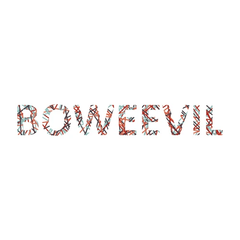 Collection image for: Bo Weevil