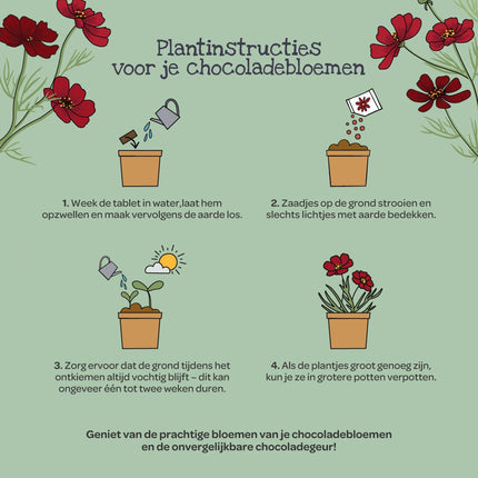 Stappen voor het kweken van chocoladebloemen uit de beker
