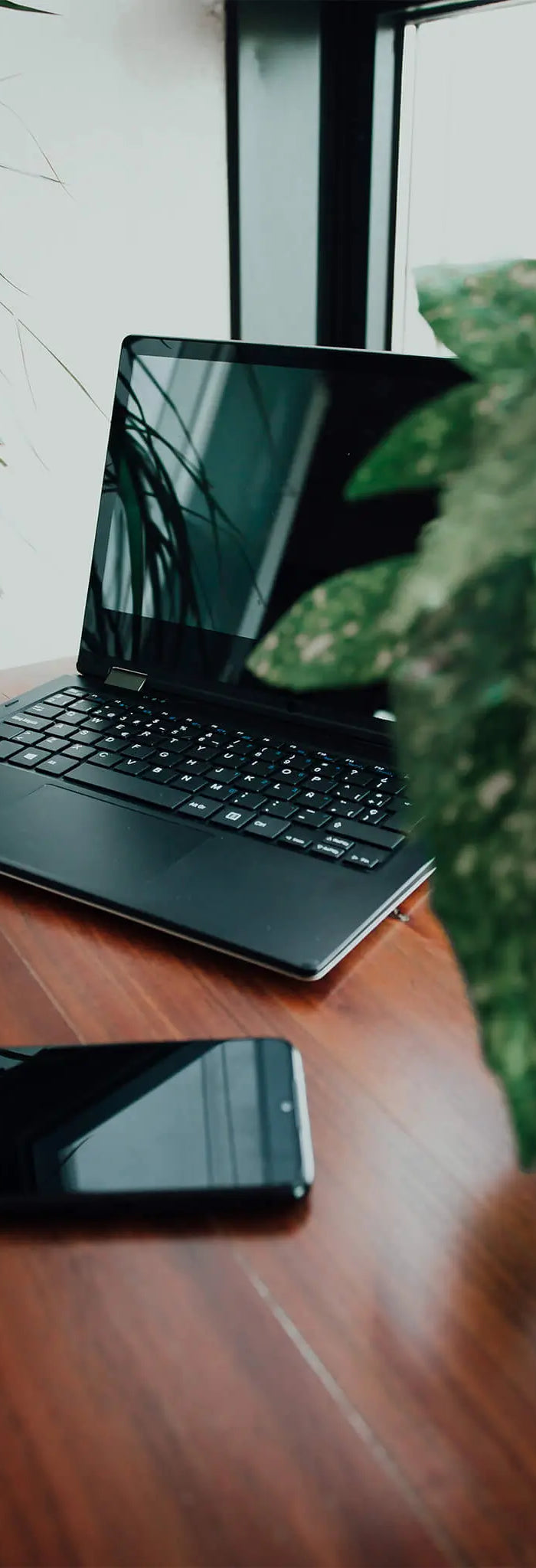 Rustige werkplek met laptop, telefoon en plant. Passend bij de klantenservice van Super Groen.