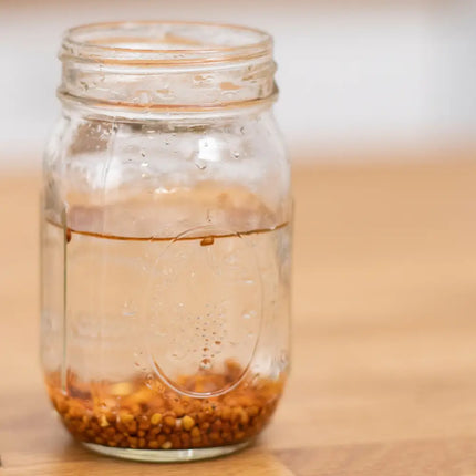 Kiemzaden weken in een glazen pot