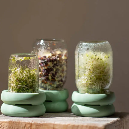 Kiemgroenten kweken in glazen potten met de Food Huggers Sprout Hugger Sage Green