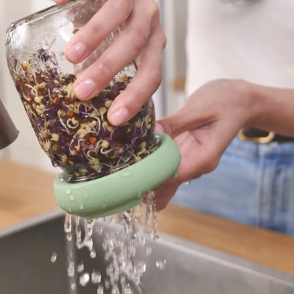 Kiemzaden in een glazen pot spoelen met de Sprout Hugger