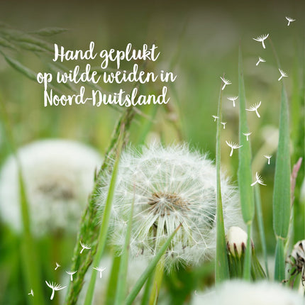Paardenbloemen op een weide in Noord-Duitsland voor de Wensvervuller
