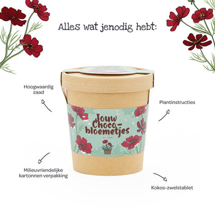 Beker, zaden, groeitablet en handleiding van de chocoladebloemen kweekset