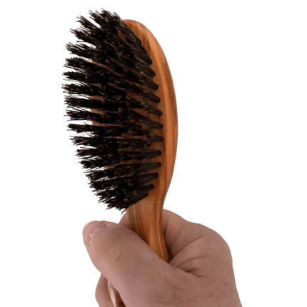 Kleine olijfhouten haarborstel van 17 cm met zwart zwijnenhaar, getoond in de hand voor schaal.