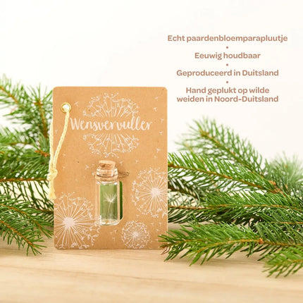 Kleine Wensvervuller met echt paardenbloempluisje en cadeauverpakking