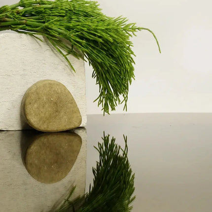Shampoo bars met heermoes op een lichte achtergrond
