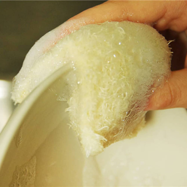 Eco Schuursponsje Luffa-Supergroen